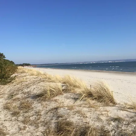 Kormoran Mit Meerblick Und Terrasse * Binz